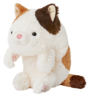 Posture Pal R5