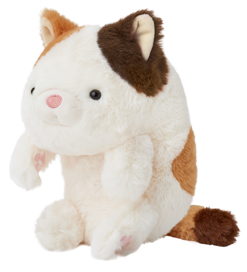 Posture Pal R5