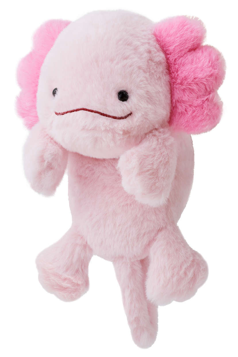 Posture Pal R5