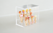 Sonny Angel Acrylic Display Case A9