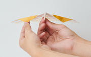 Papillon Origami Airplanes E0