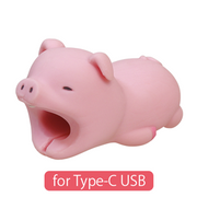 CABLE BITE for Type-C USB W4