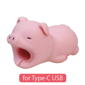 CABLE BITE for Type-C USB W4